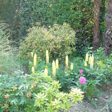 B&B D'hotes Aire-sur-lʼAdour