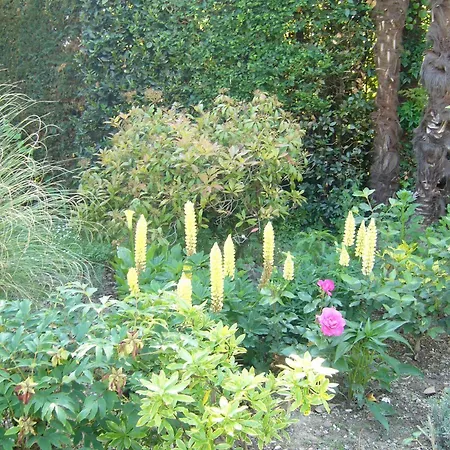 D'hotes Bed & Breakfast Aire-sur-l'Adour