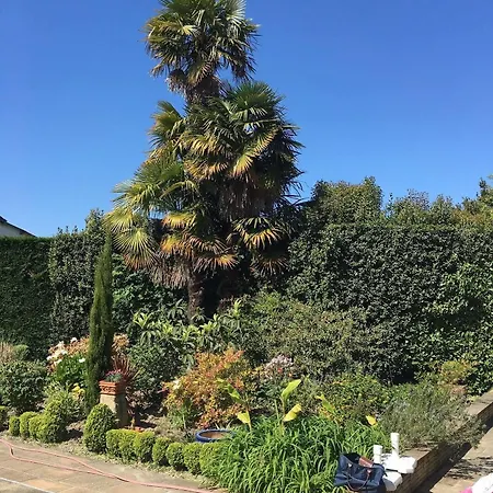 Bed & Breakfast D'hotes Aire-sur-lʼAdour